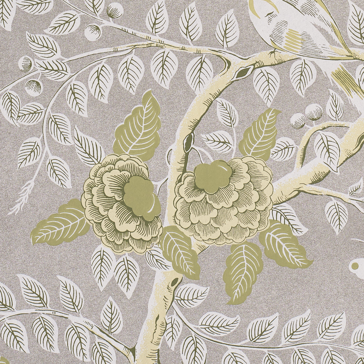 Tole Bird Wallpaper in spring color - pattern number 5017542 - by Schumacher in the Schumacher Classics collection