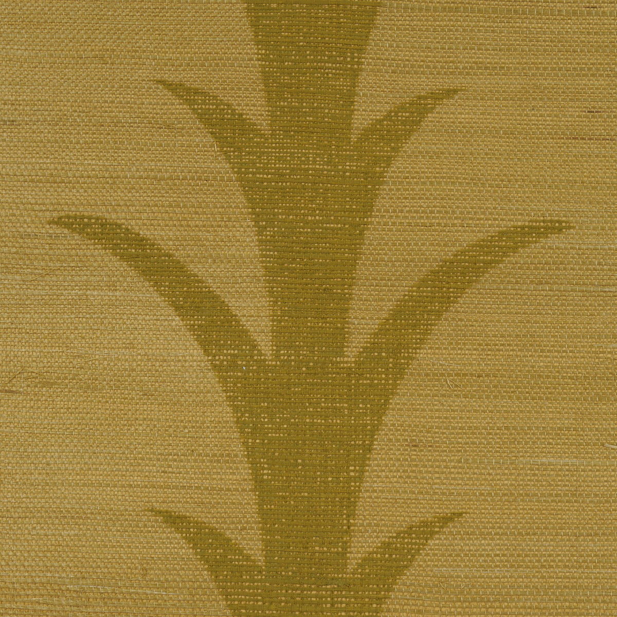 Acanthus Stripe Sisal Wallpaper in celery color - pattern number 5017650 - by Schumacher in the Atelier Paris collection
