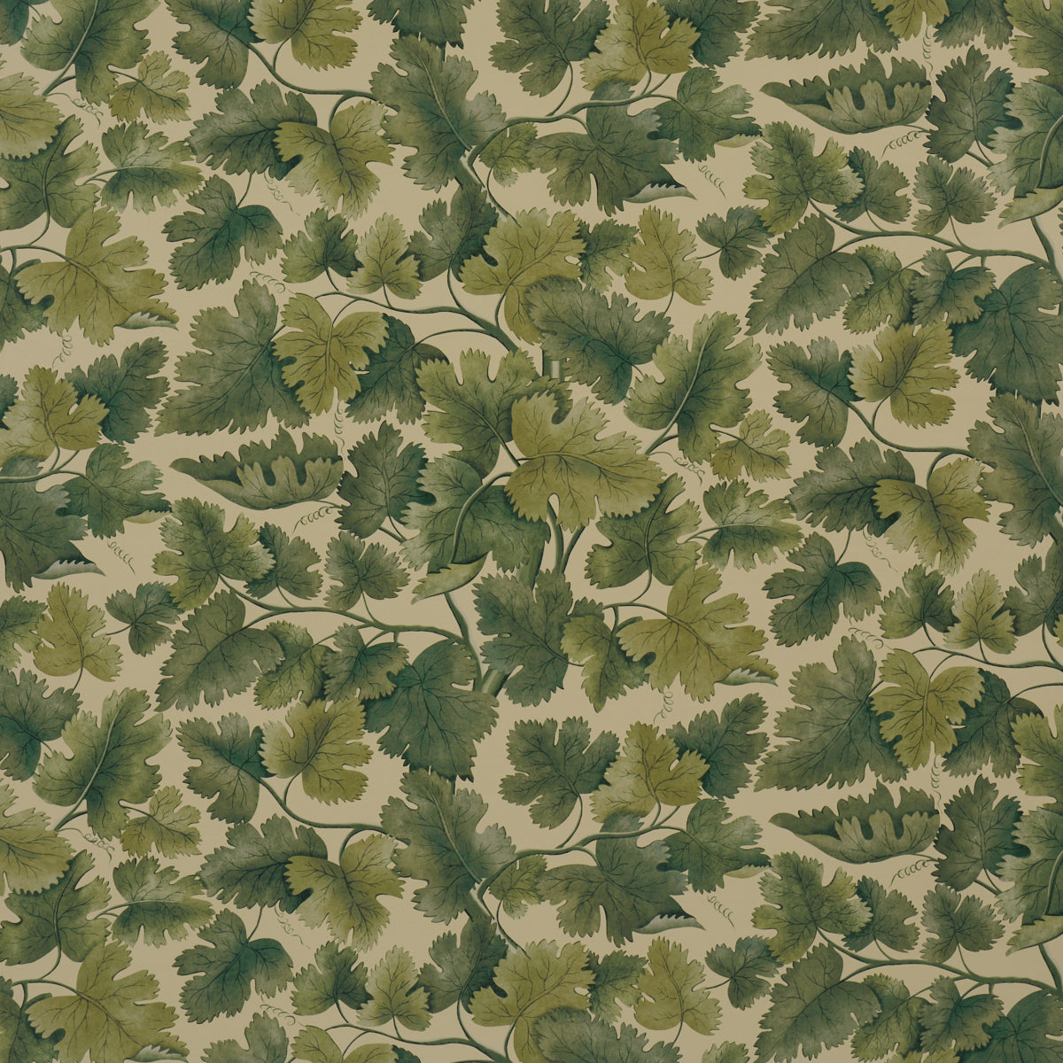 Edinburgh Vine Wallpaper in forest color - pattern number 5017731 - by Schumacher in the A Country Life collection