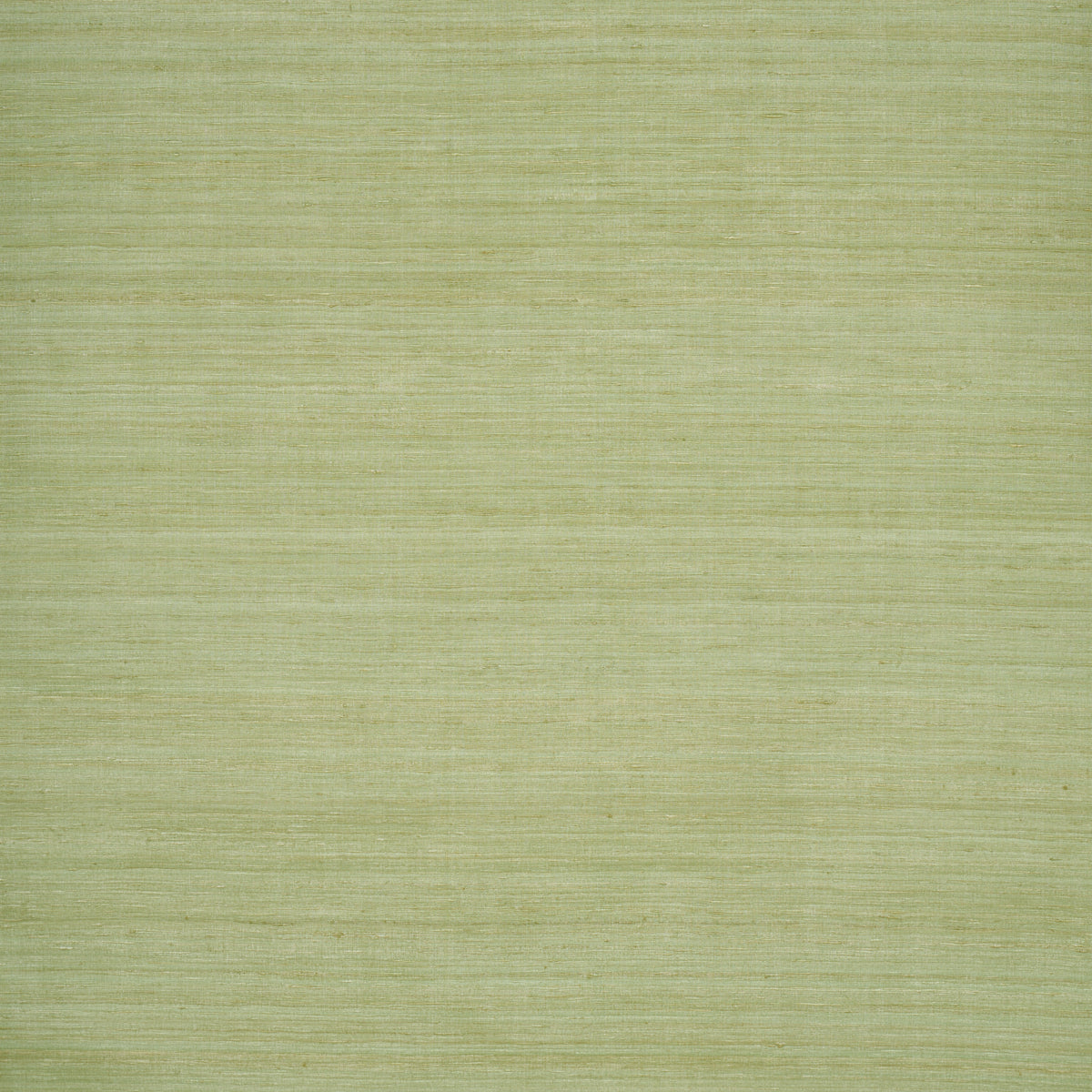 Shaded Silk Wallpaper in Celery color - pattern number 5017782 - by Schumacher in the Perfect Basics Textured Wallcovering collection