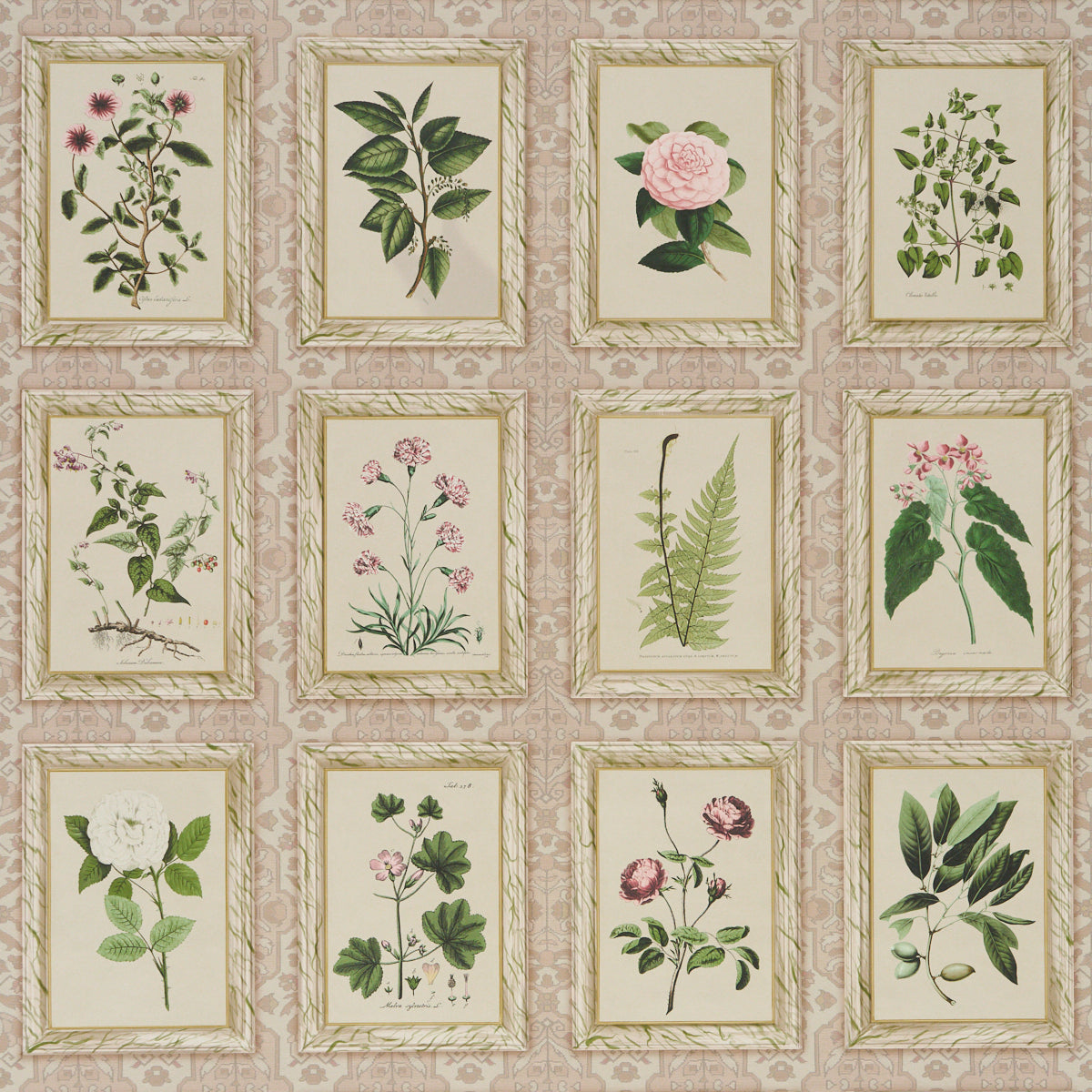 Garden&