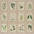 Garden&