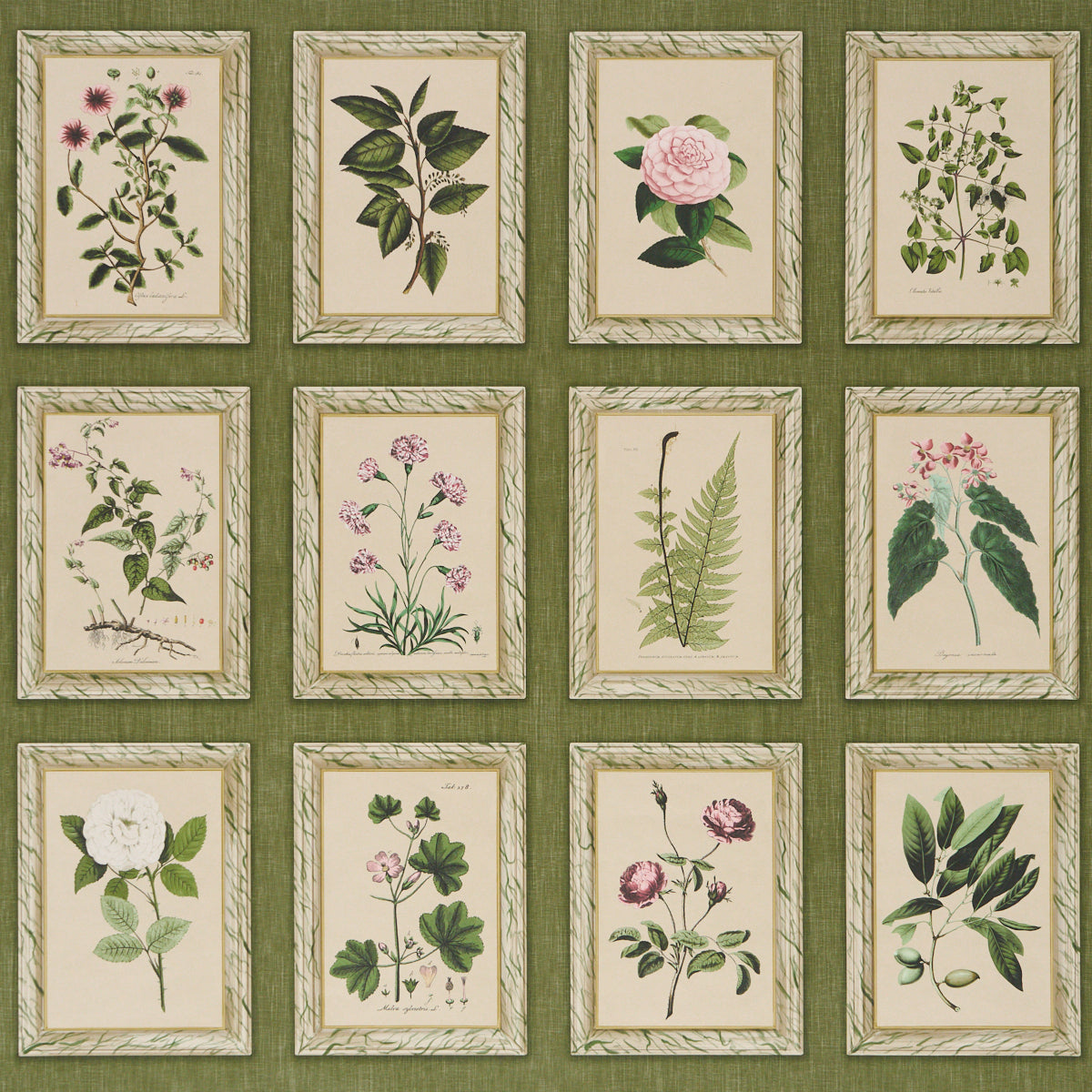 Garden&