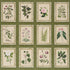 Garden&
