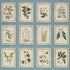 Garden&