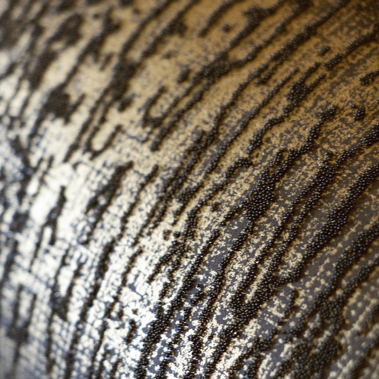 Neptun Umber Brown wallpaper in gold color - pattern number GH51205-23 - by Galerie in the Universe collection