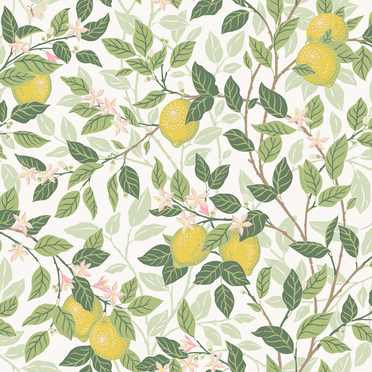 Citrontrad wallpaper in ivory and leaf color - pattern number 5702 - by Schumacher in the Borastapeter collection