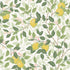 Citrontrad wallpaper in ivory and leaf color - pattern number 5702 - by Schumacher in the Borastapeter collection