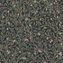 Olivtrad wallpaper in spruce and midnight color - pattern number 5706 - by Schumacher in the Borastapeter collection