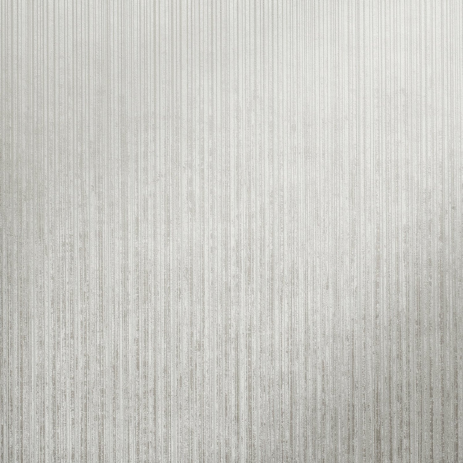 Jupiter Fossil Grey wallpaper in silver grey color - pattern number GH64614-23 - by Galerie in the Universe collection