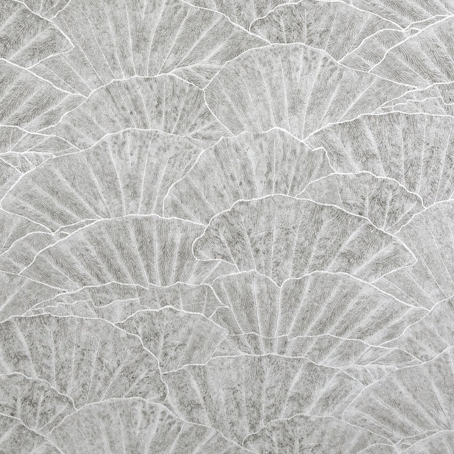 Seashell wallpaper in silver grey color - pattern number GH65002-23 - by Galerie in the Feel collection