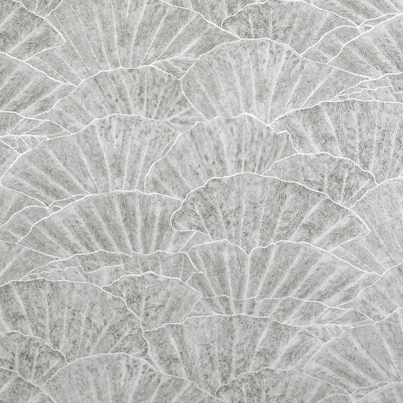 Seashell wallpaper in silver grey color - pattern number GH65002-23 - by Galerie in the Feel collection