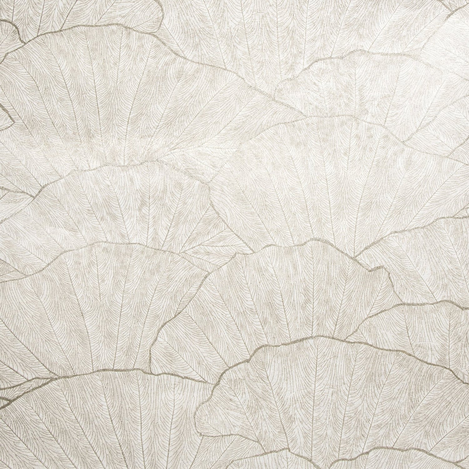 Seashell wallpaper in silver grey color - pattern number GH65004-23 - by Galerie in the Feel collection