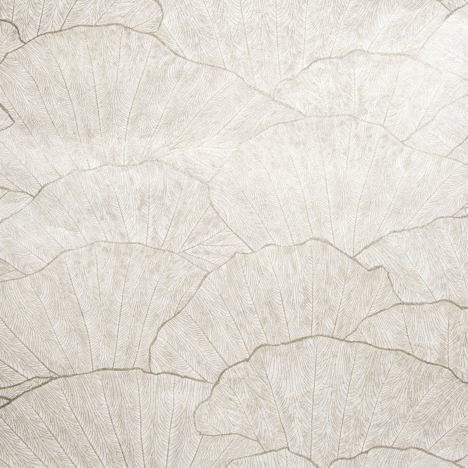 Seashell wallpaper in silver grey color - pattern number GH65004-23 - by Galerie in the Feel collection