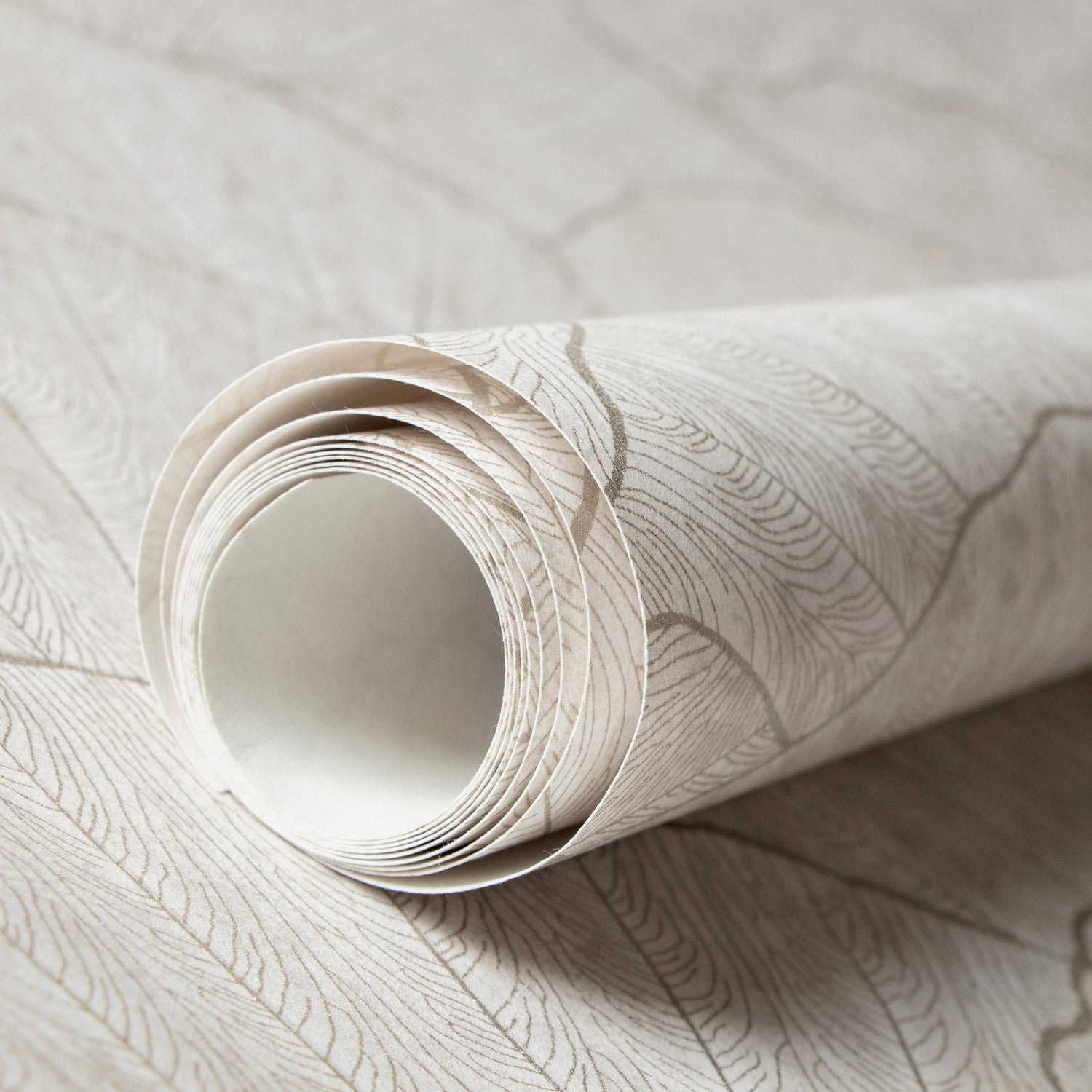 Seashell wallpaper in silver grey color - pattern number GH65004-23 - by Galerie in the Feel collection