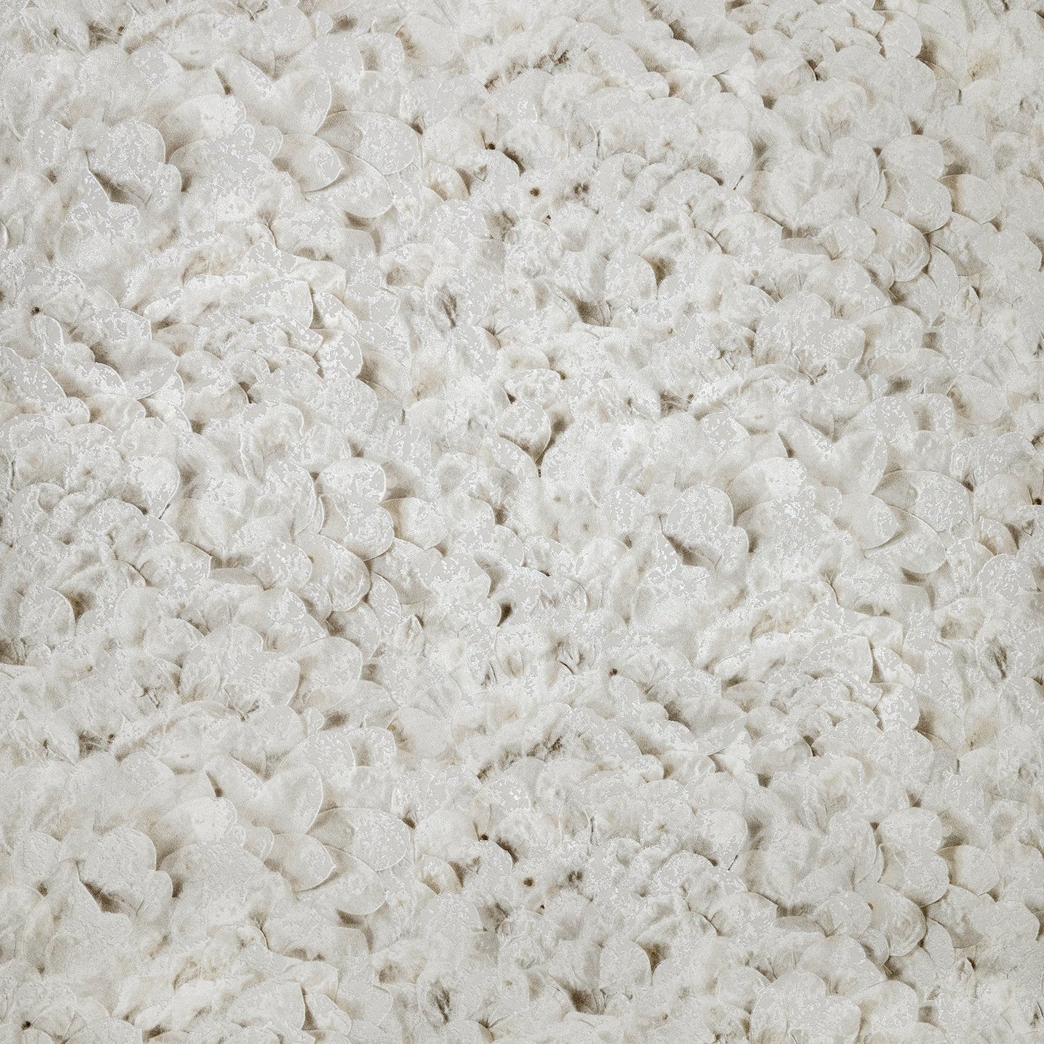 Arco wallpaper in beige color - pattern number GH65307-23 - by Galerie in the Salt collection