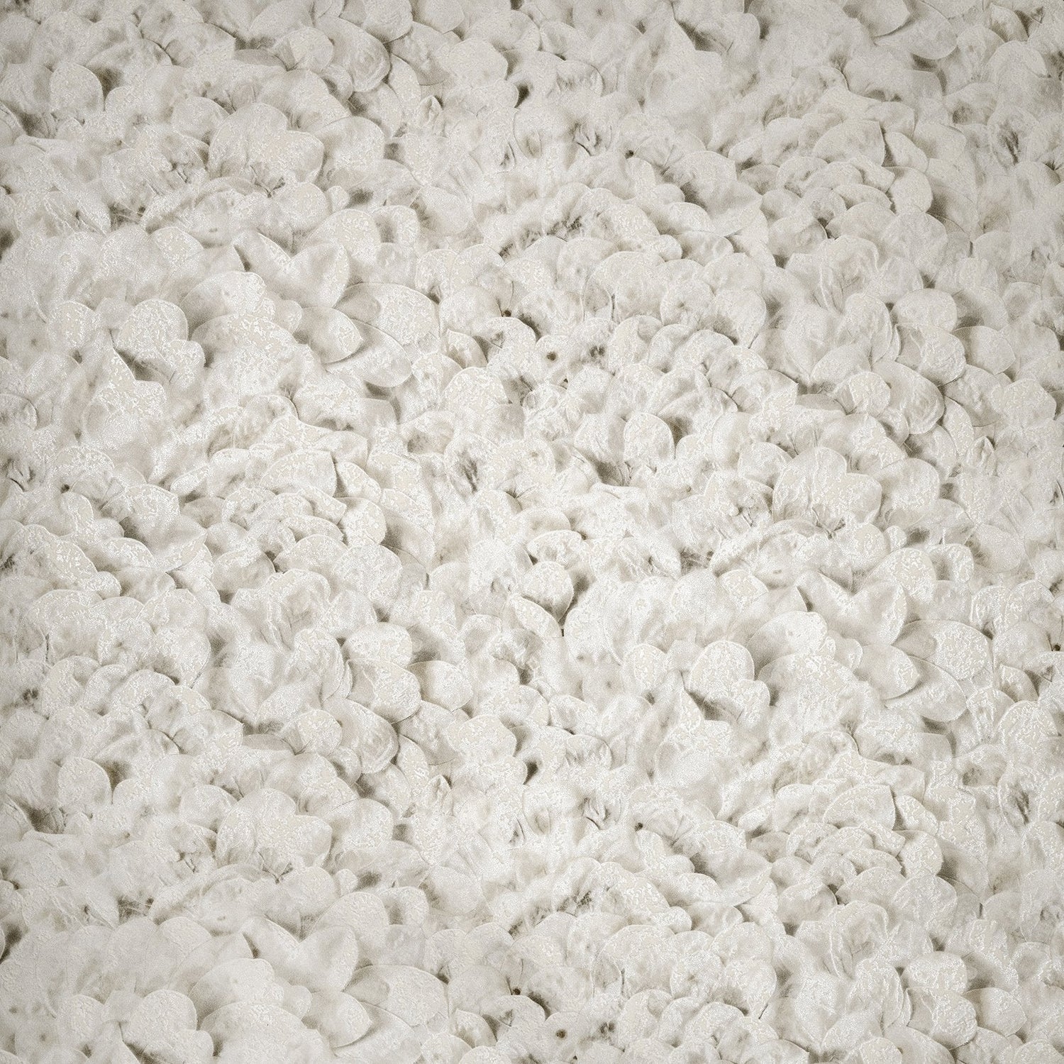 Arco wallpaper in cream color - pattern number GH65310-23 - by Galerie in the Salt collection
