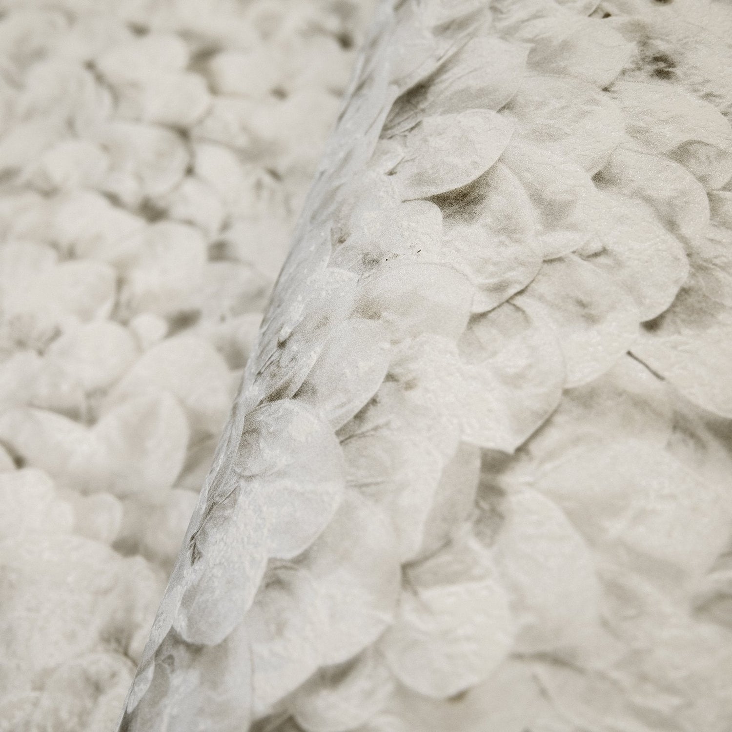 Arco wallpaper in cream color - pattern number GH65310-23 - by Galerie in the Salt collection