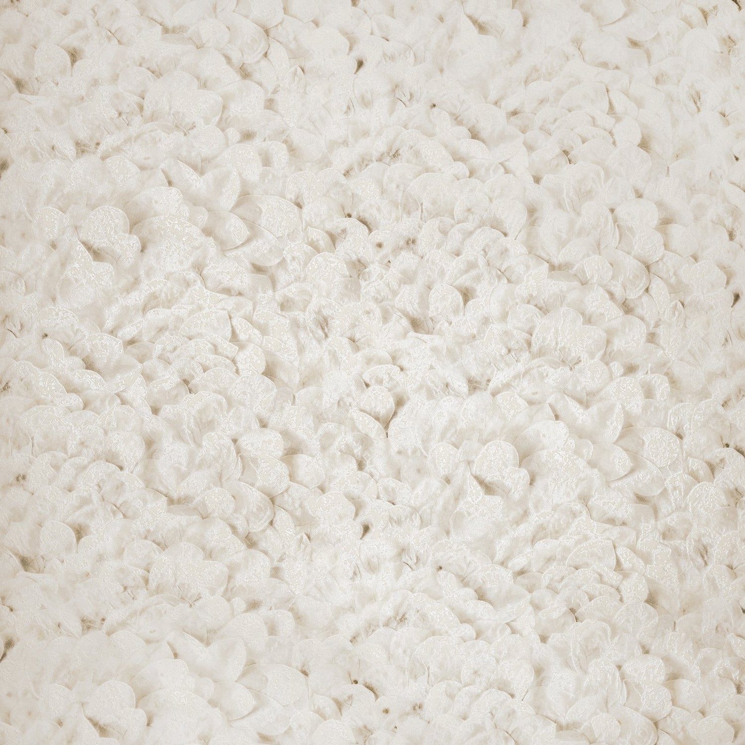 Arco wallpaper in cream color - pattern number GH65311-23 - by Galerie in the Salt collection