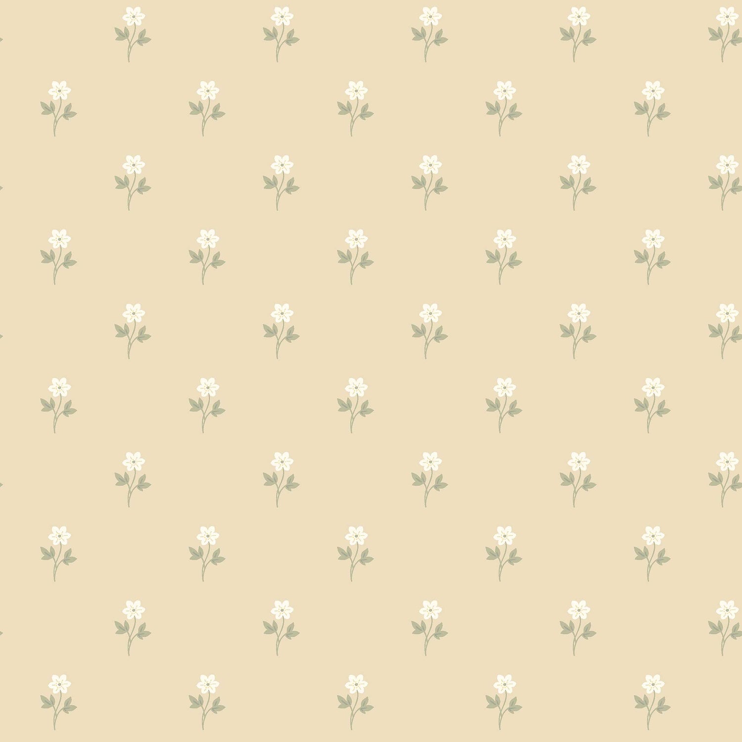Anemone By Boråstapeter Wallpaper in wheat color - pattern number 6972 - by Schumacher in the Borastapeter collection