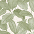 Bo wallpaper in leaf color - pattern number 7402 - by Schumacher in the Borastapeter collection