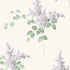 Lilacs wallpaper in lilac color - pattern number 7668 - by Schumacher in the Borastapeter collection