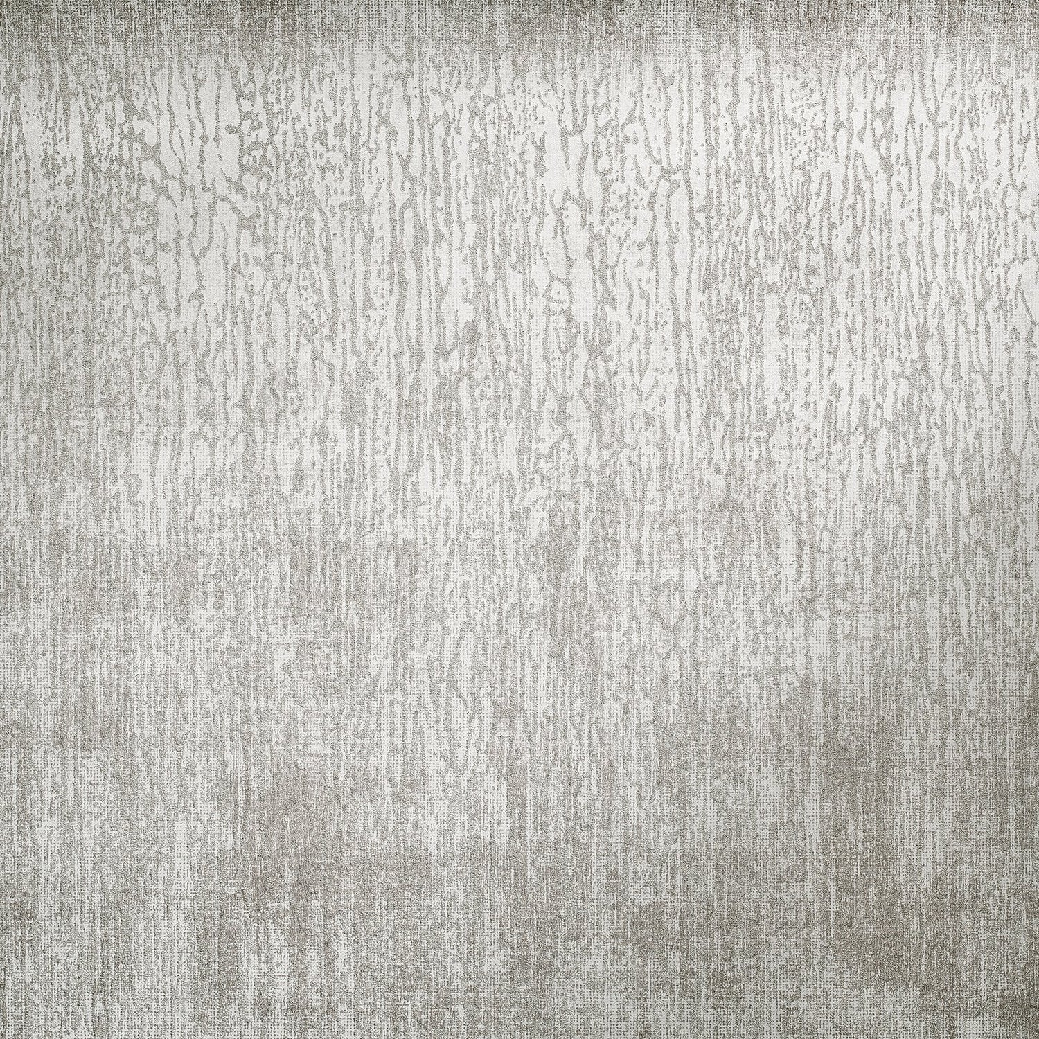 Neptun Fossil Grey wallpaper in silver grey color - pattern number GH81208-23 - by Galerie in the Universe collection