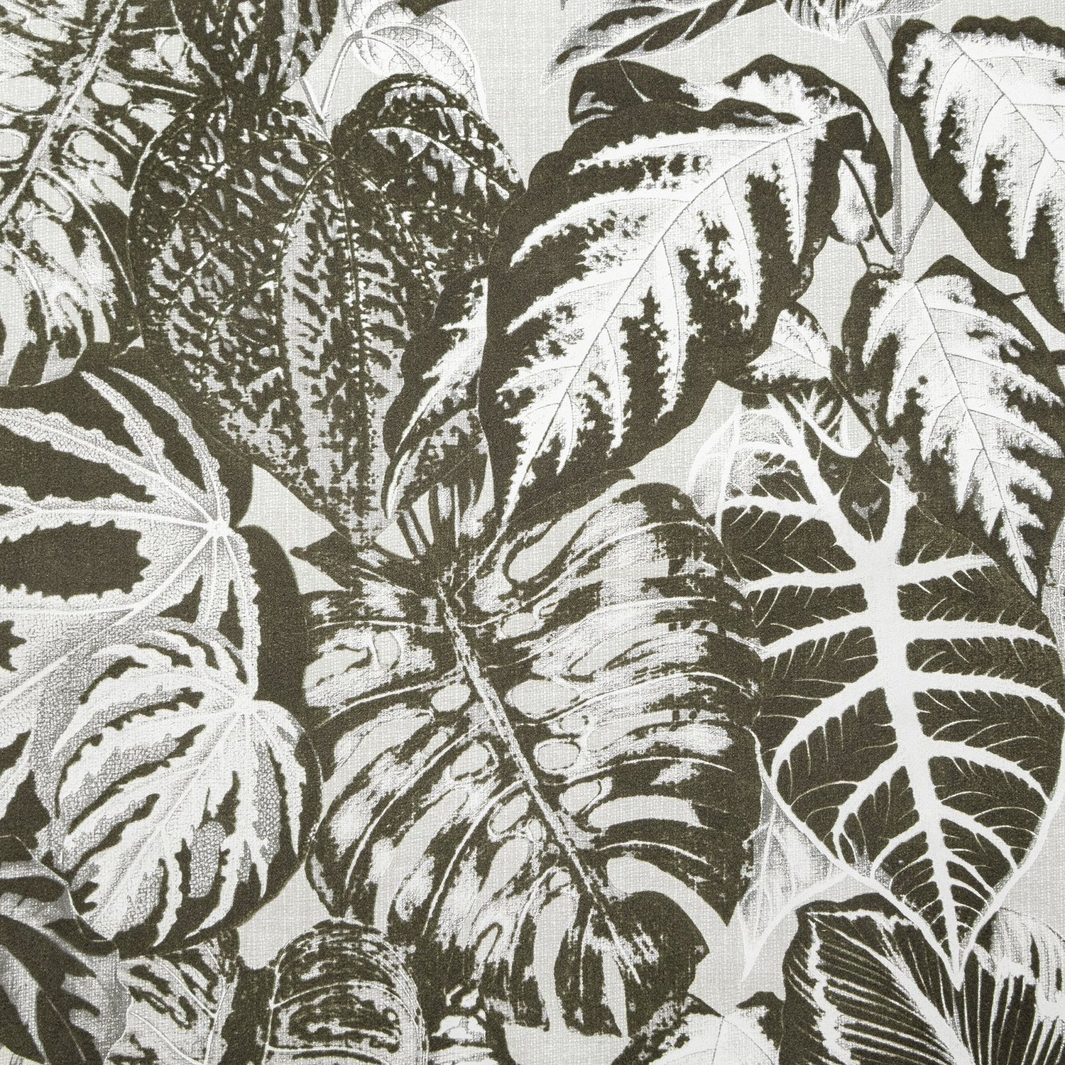 Elephant Leaf wallpaper in silver grey color - pattern number GH81263-23 - by Galerie in the Feel collection