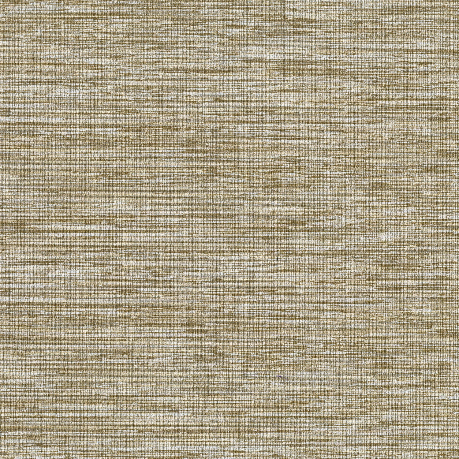 8161 wallpaper in 17 color - pattern number 816117W9071 - by JF wallpapers in the Mayfair collection