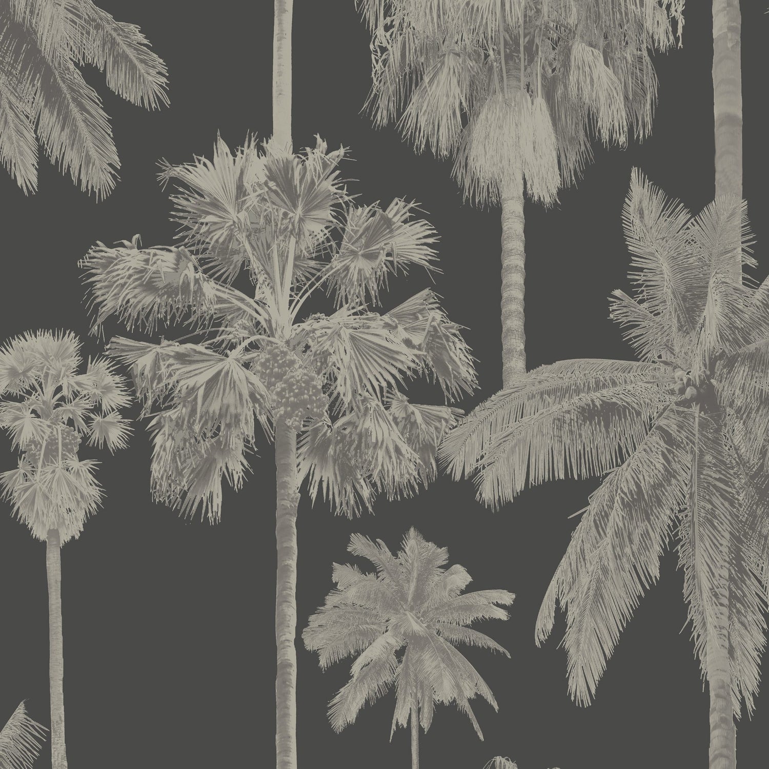 8180 wallpaper in 39 color - pattern number 818039W9091 - by JF wallpapers in the Seychelles collection
