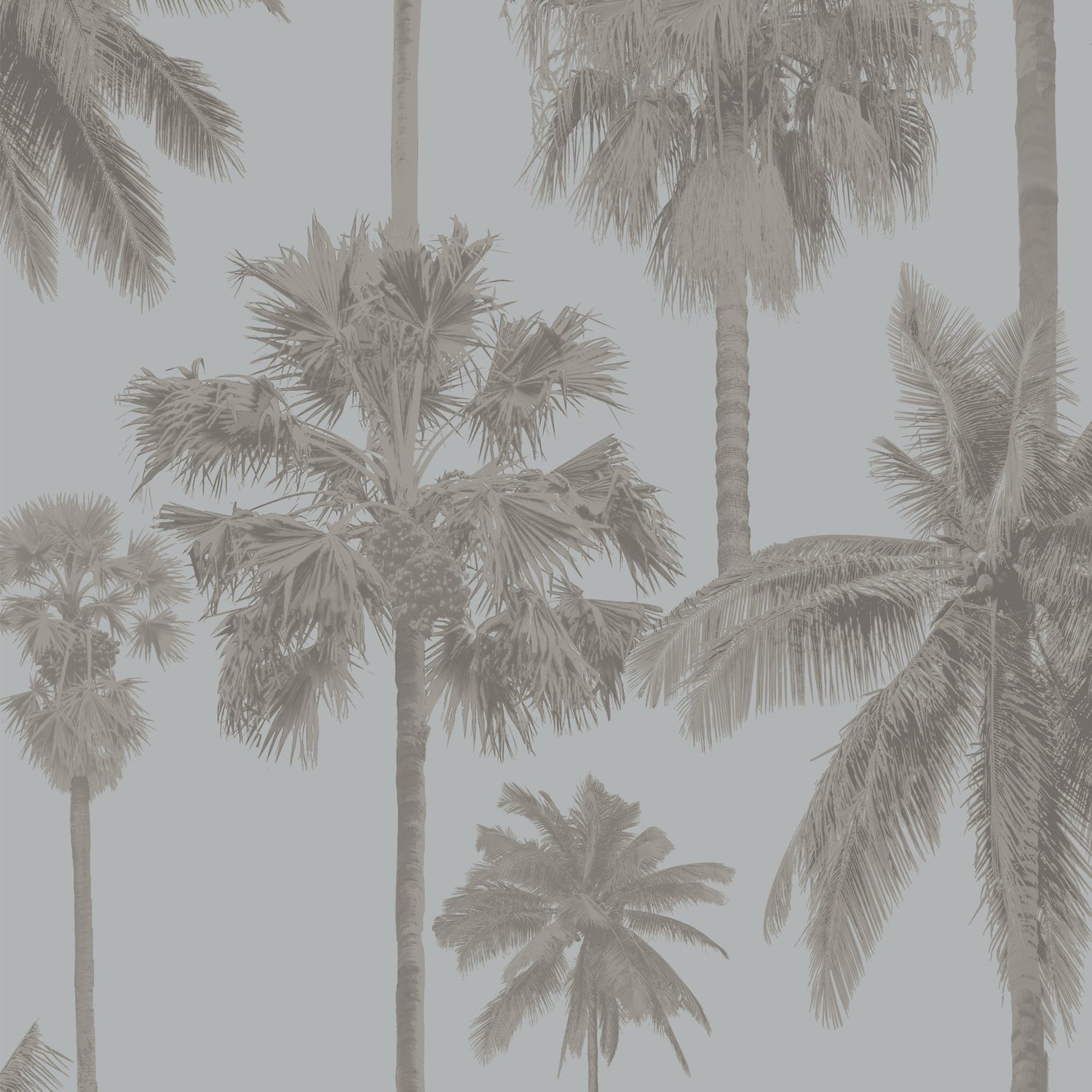 8180 wallpaper in 62 color - pattern number 818062W9091 - by JF wallpapers in the Seychelles collection