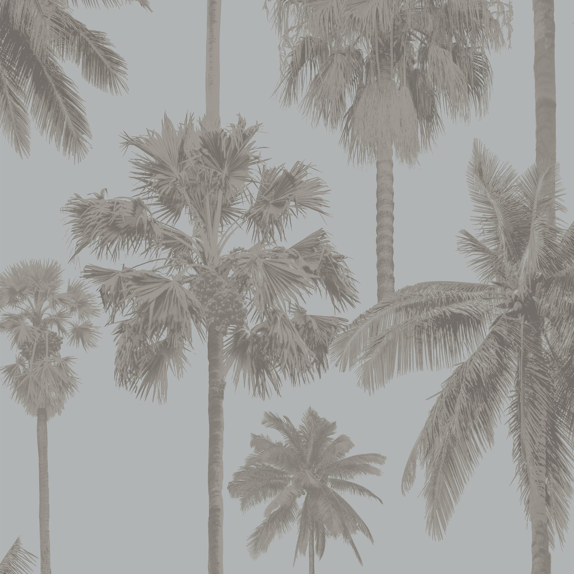 8180 wallpaper in 62 color - pattern number 818062W9091 - by JF wallpapers in the Seychelles collection