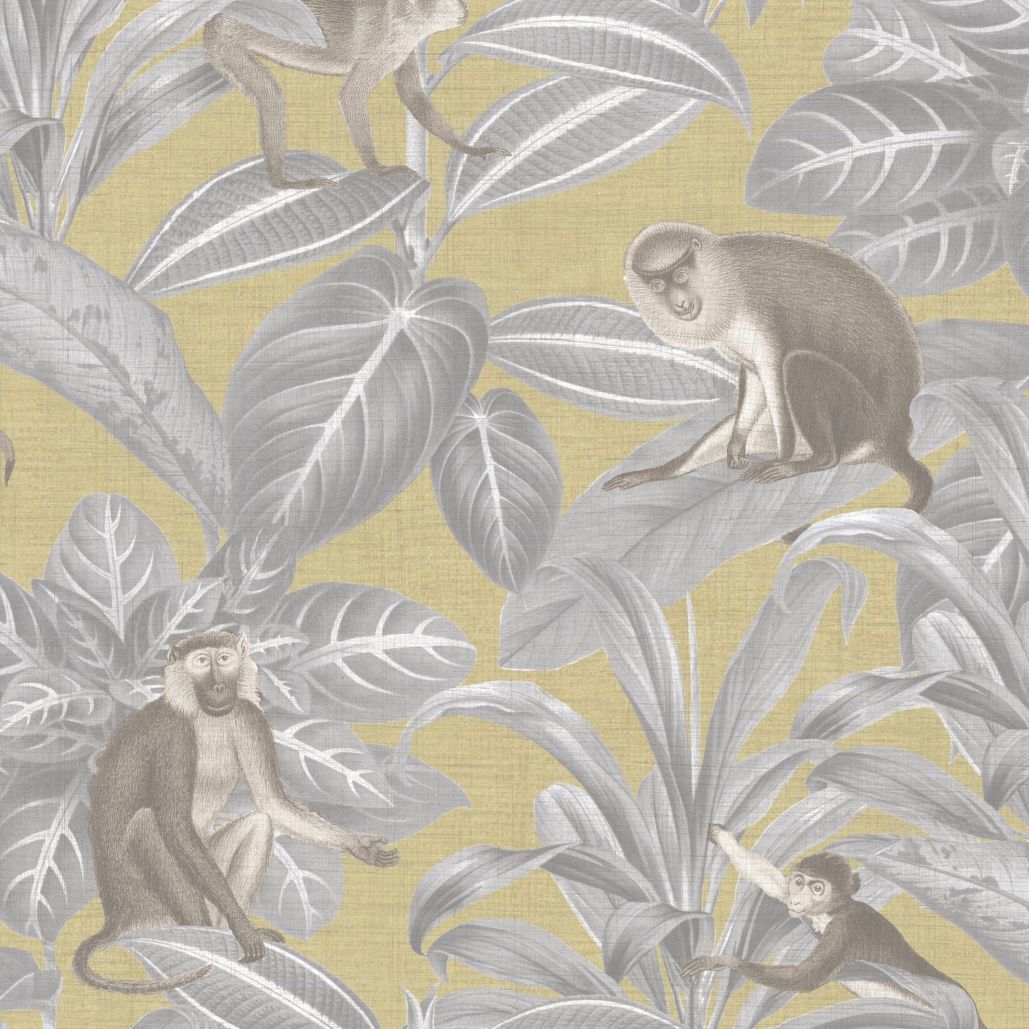 8188 wallpaper in 16 color - pattern number 818816W9081 - by JF wallpapers in the Sanctuary collection