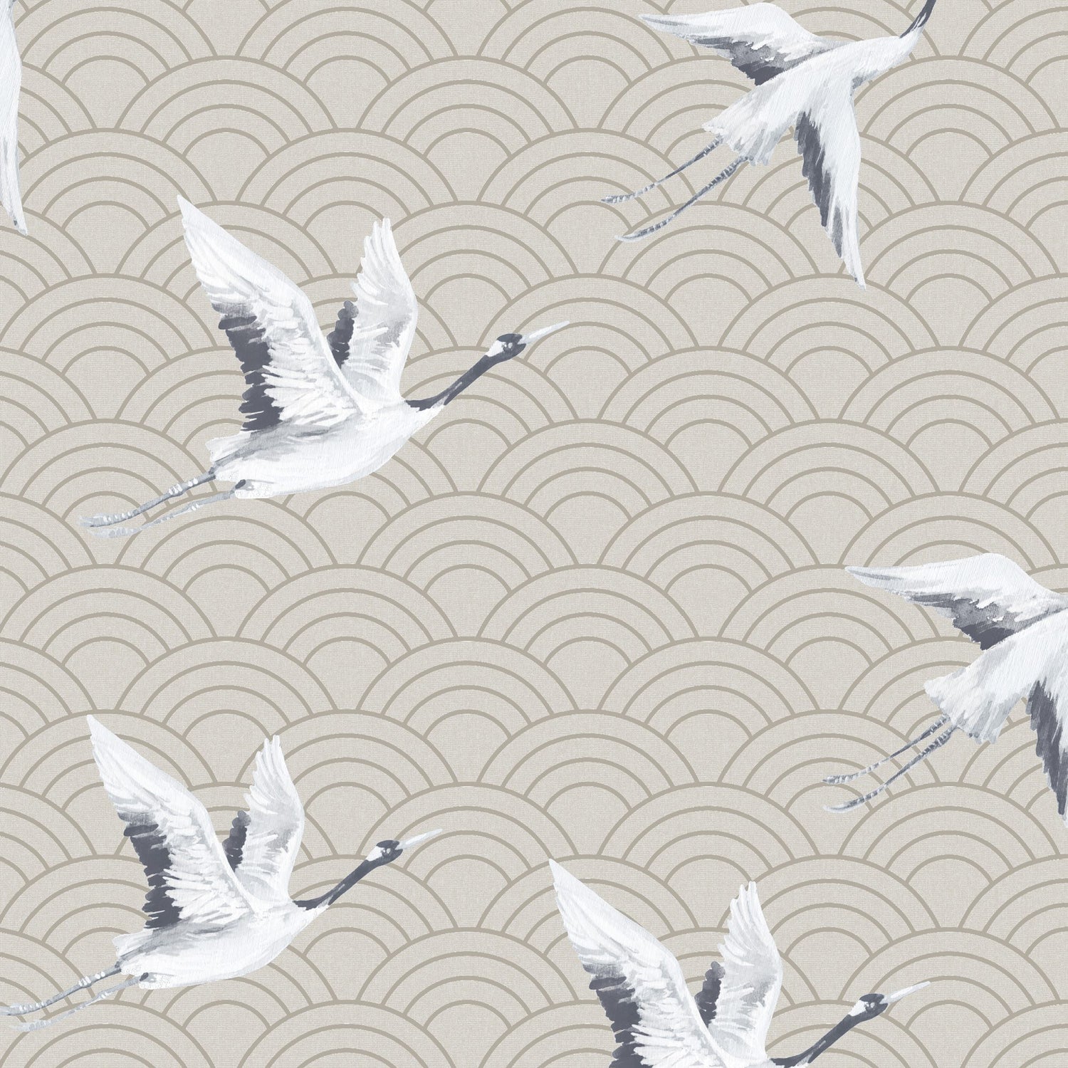 8189 wallpaper in 12 color - pattern number 818912W9081 - by JF wallpapers in the Sanctuary collection