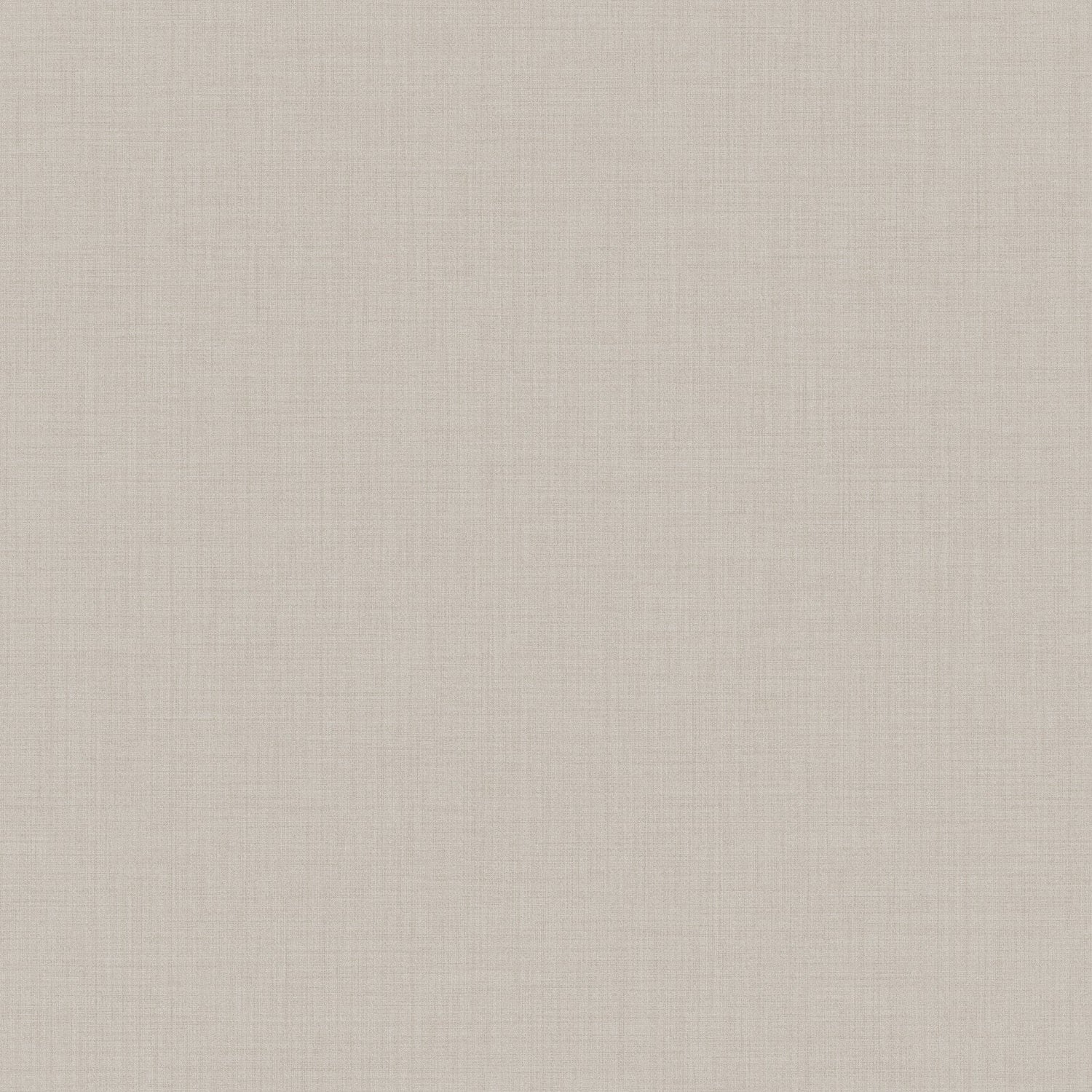 Trama Boom Wallpaper in Beige color - pattern number 8396 - by Galerie in the Blooming Garden collection