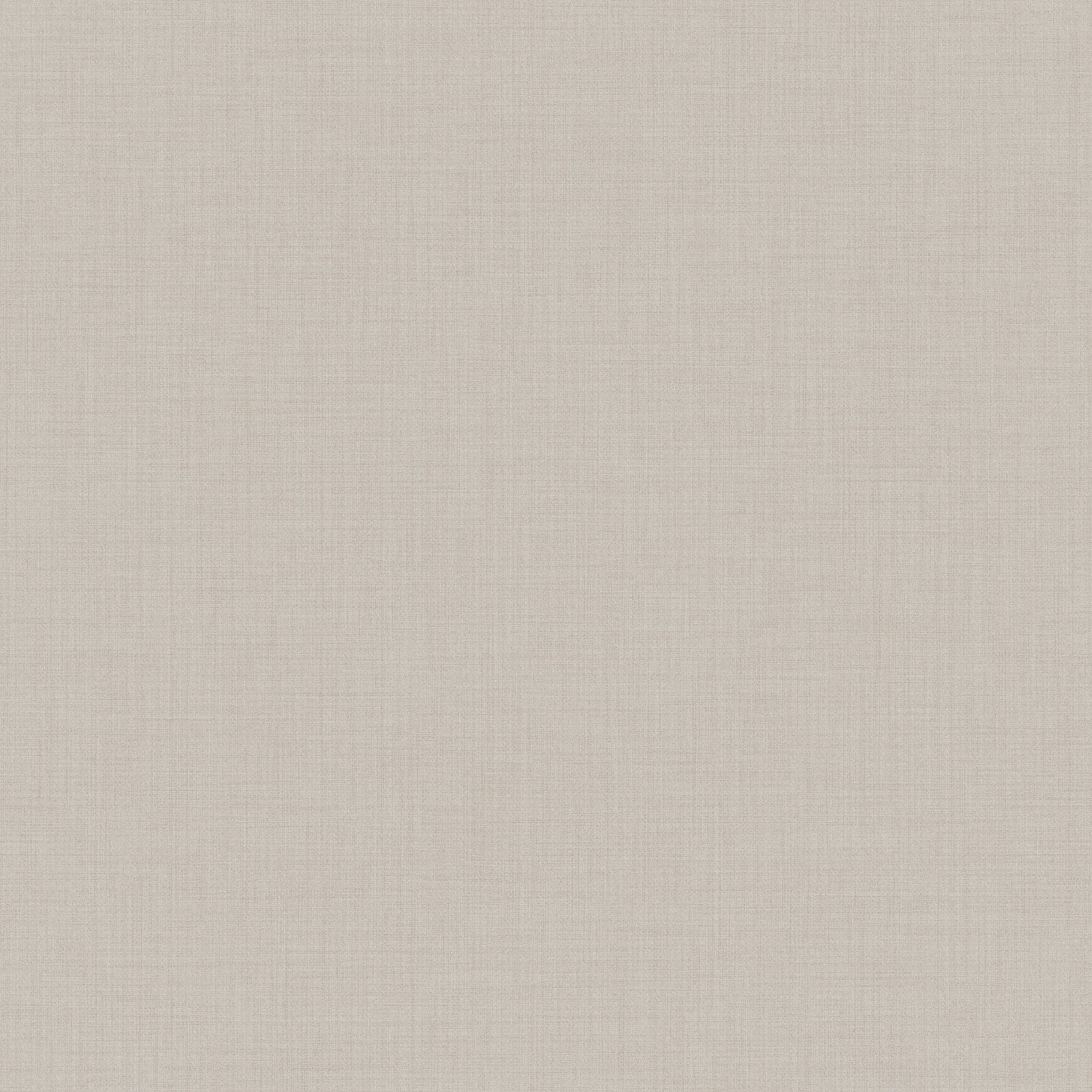 Trama Boom Wallpaper in Beige color - pattern number 8396 - by Galerie in the Blooming Garden collection