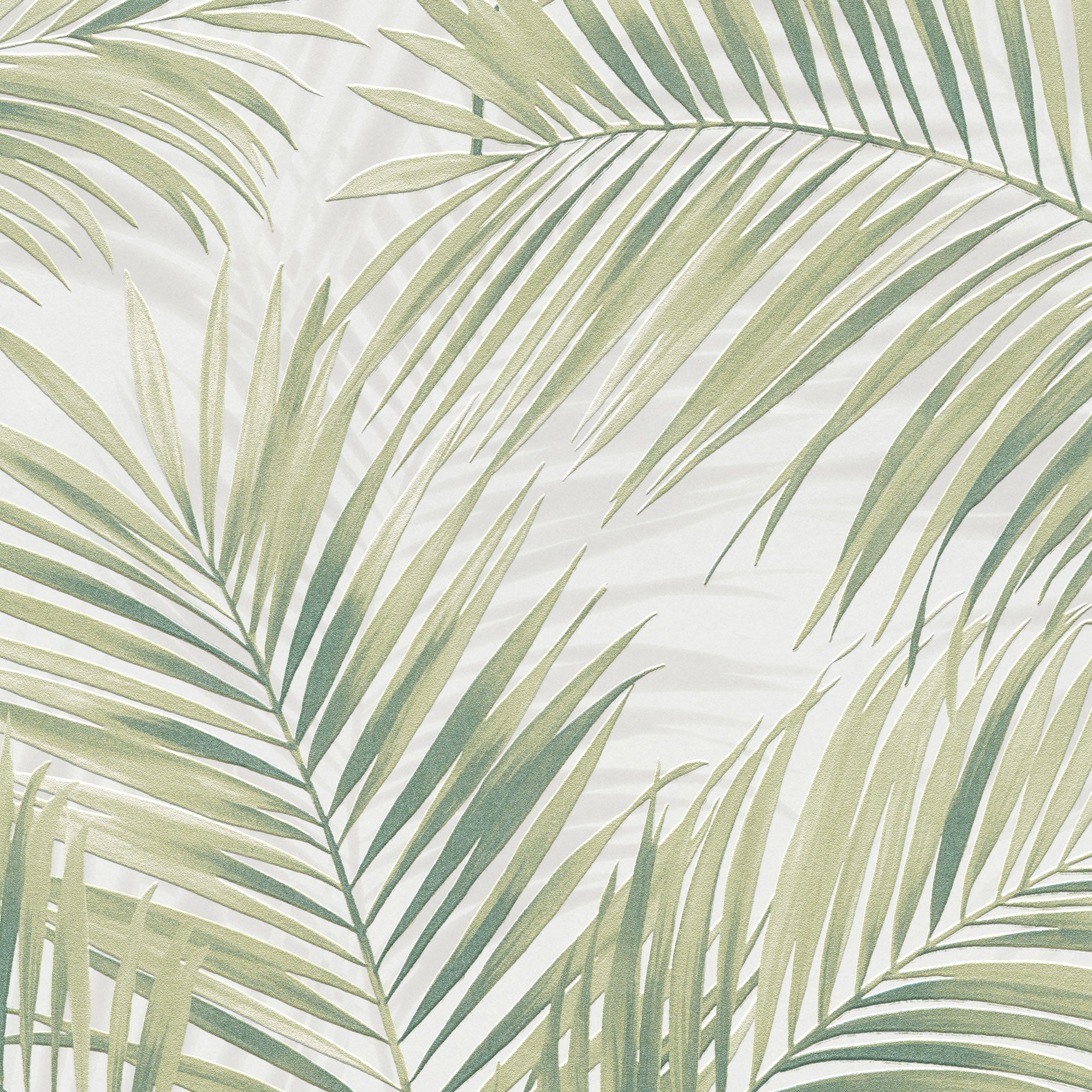 Calvado Palm Wallpaper in green color - pattern number 8414-VRINC-AC2 - by Veer Decor in the Veer Decor 2025 Collection collection