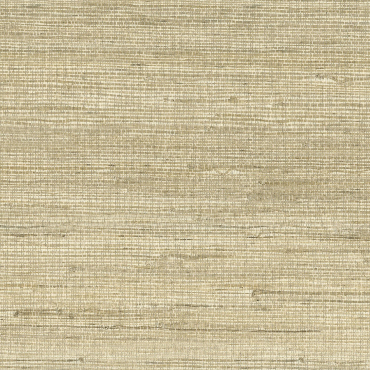 9025 wallpaper in 14 color - pattern number 902514WS121 - by JF wallpapers in the Indochine collection