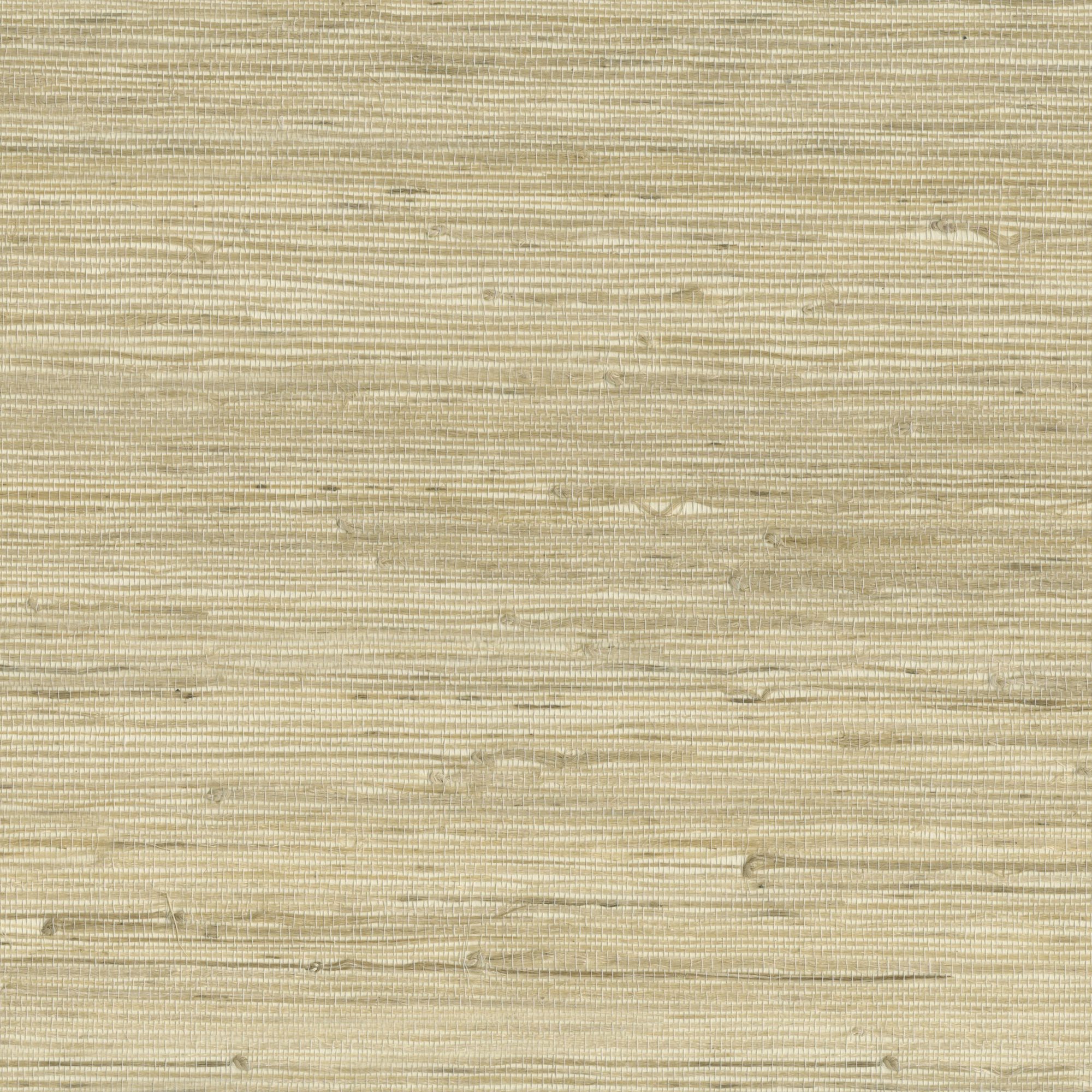 9025 wallpaper in 14 color - pattern number 902514WS121 - by JF wallpapers in the Indochine collection
