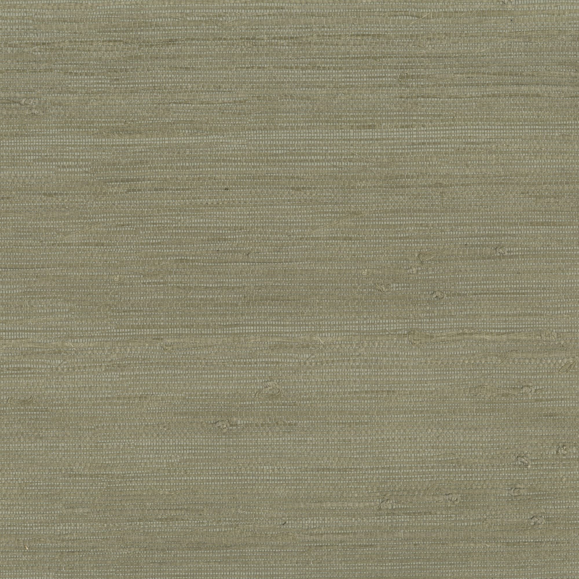 9025 wallpaper in 75 color - pattern number 902575WS121 - by JF wallpapers in the Indochine collection