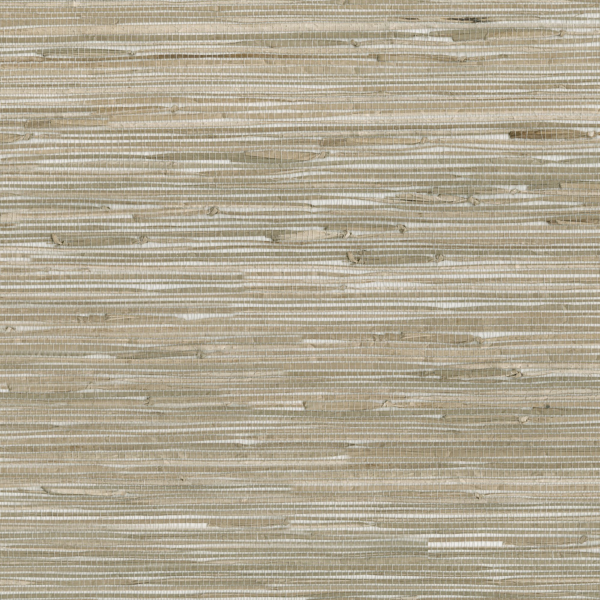 9026 wallpaper in 34 color - pattern number 902634WS121 - by JF wallpapers in the Indochine collection