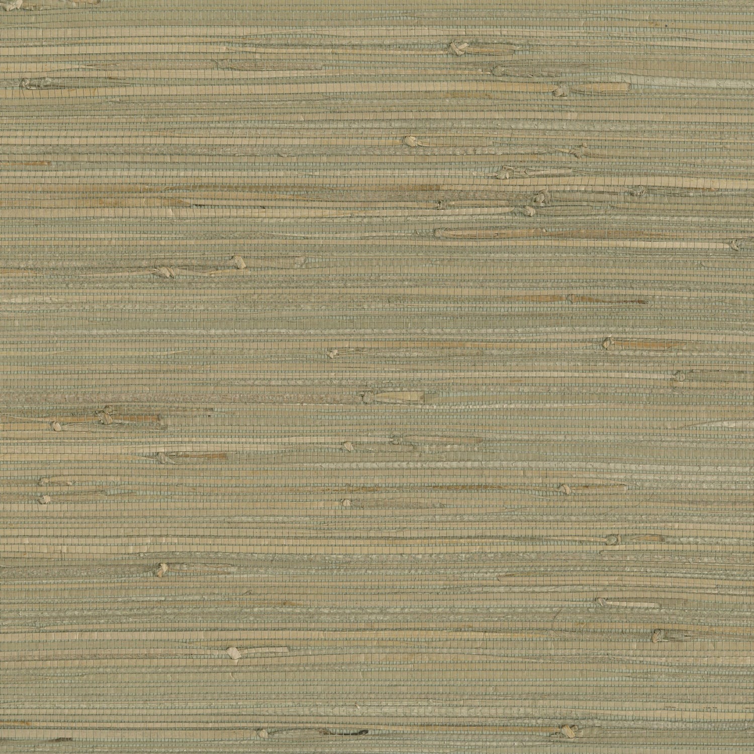 9026 wallpaper in 73 color - pattern number 902673WS121 - by JF wallpapers in the Indochine collection