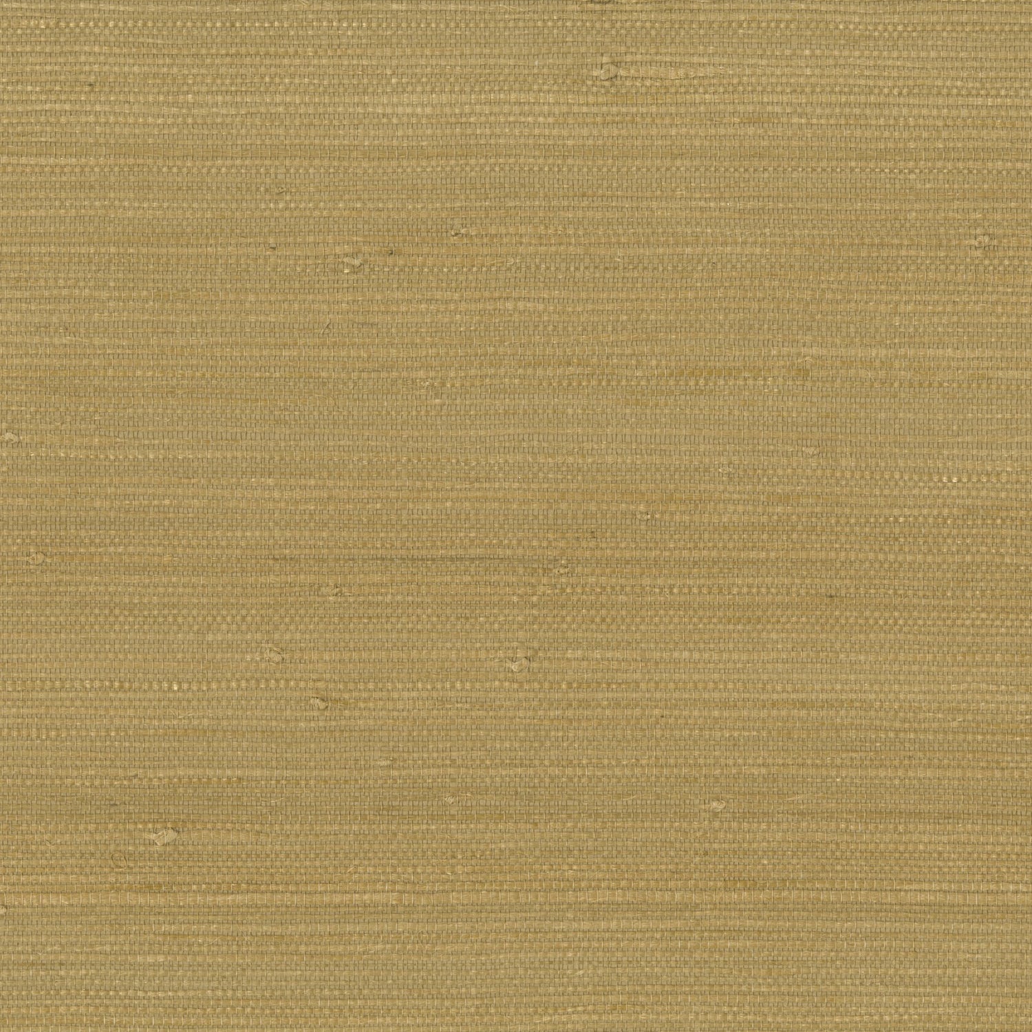 9031 wallpaper in 18 color - pattern number 903118WS121 - by JF wallpapers in the Indochine collection