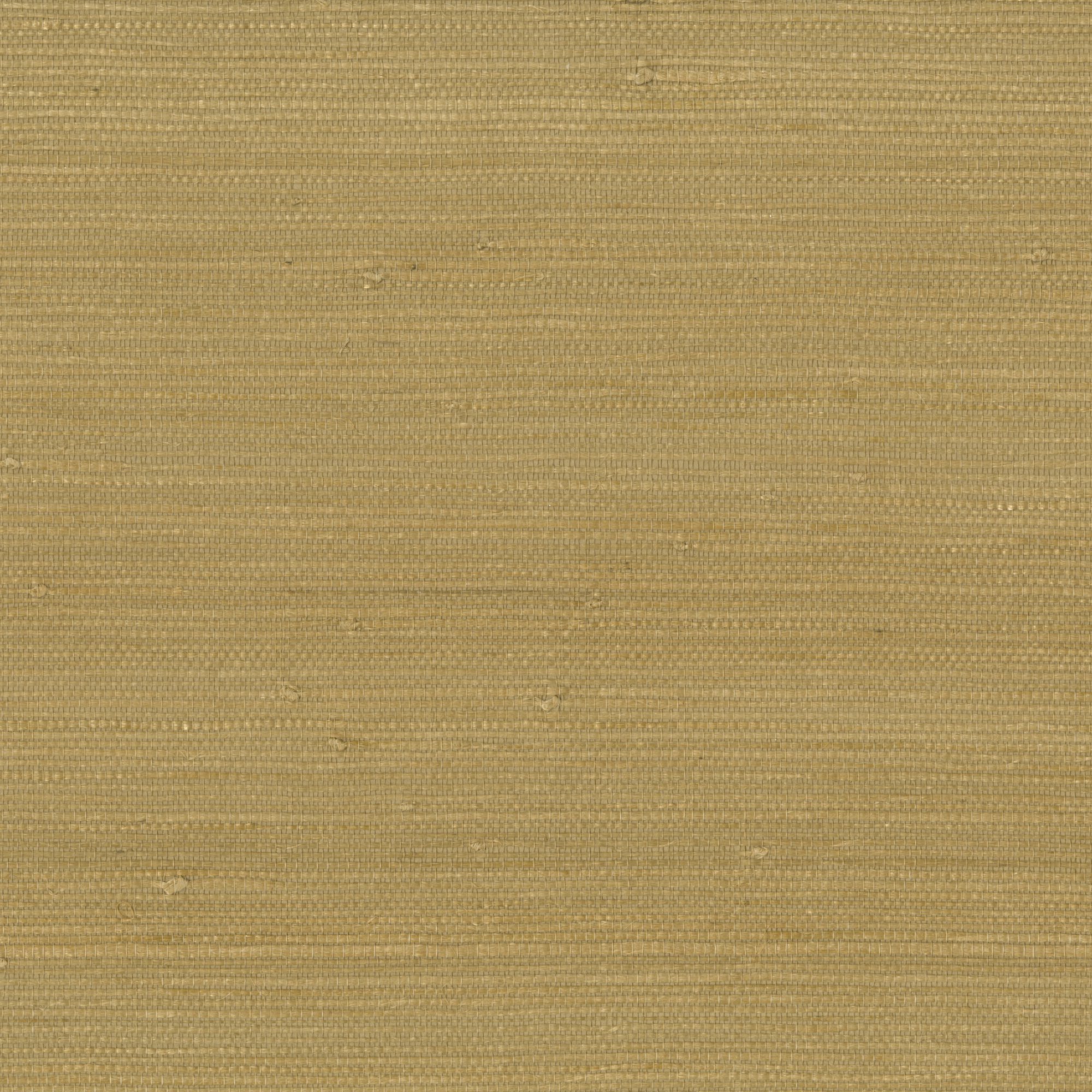 9031 wallpaper in 18 color - pattern number 903118WS121 - by JF wallpapers in the Indochine collection