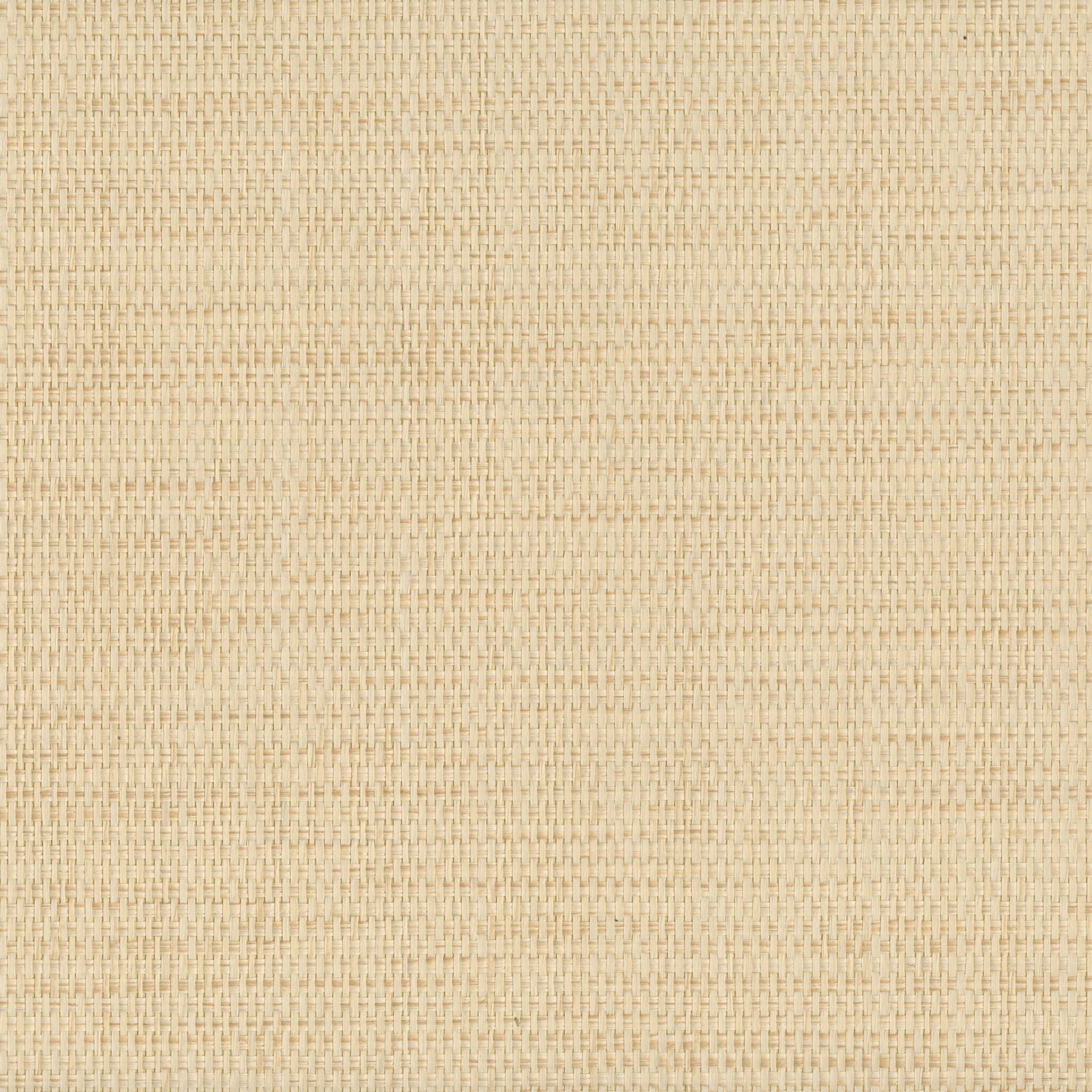 9048 wallpaper in 20 color - pattern number 904820WS121 - by JF wallpapers in the Indochine collection