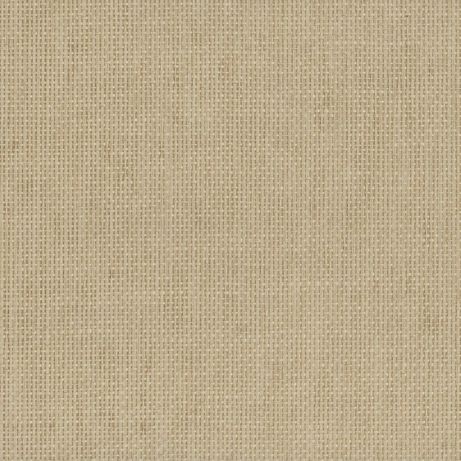 9051 wallpaper in 14 color - pattern number 905114WS121 - by JF wallpapers in the Indochine collection
