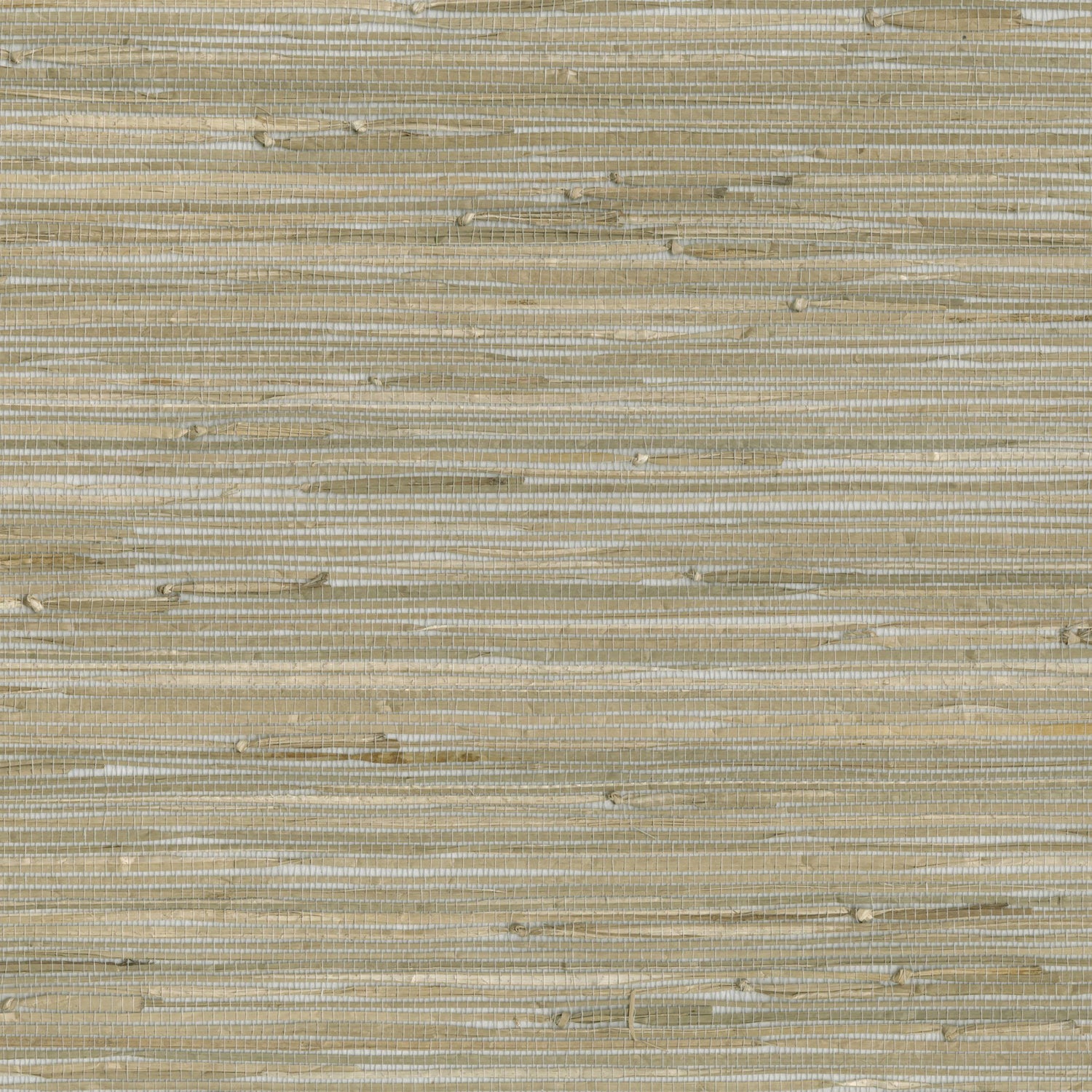 9068 wallpaper in 35 color - pattern number 906835WS121 - by JF wallpapers in the Indochine collection