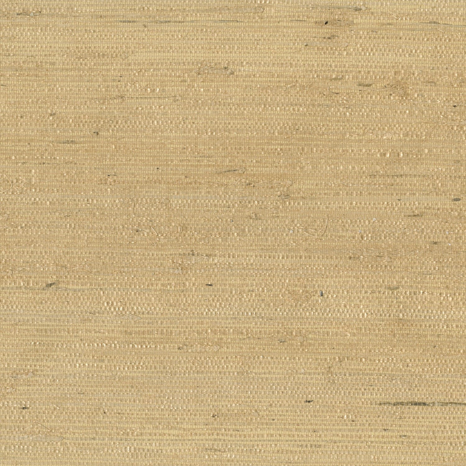 9089 wallpaper in 20 color - pattern number 908920WS121 - by JF wallpapers in the Indochine collection