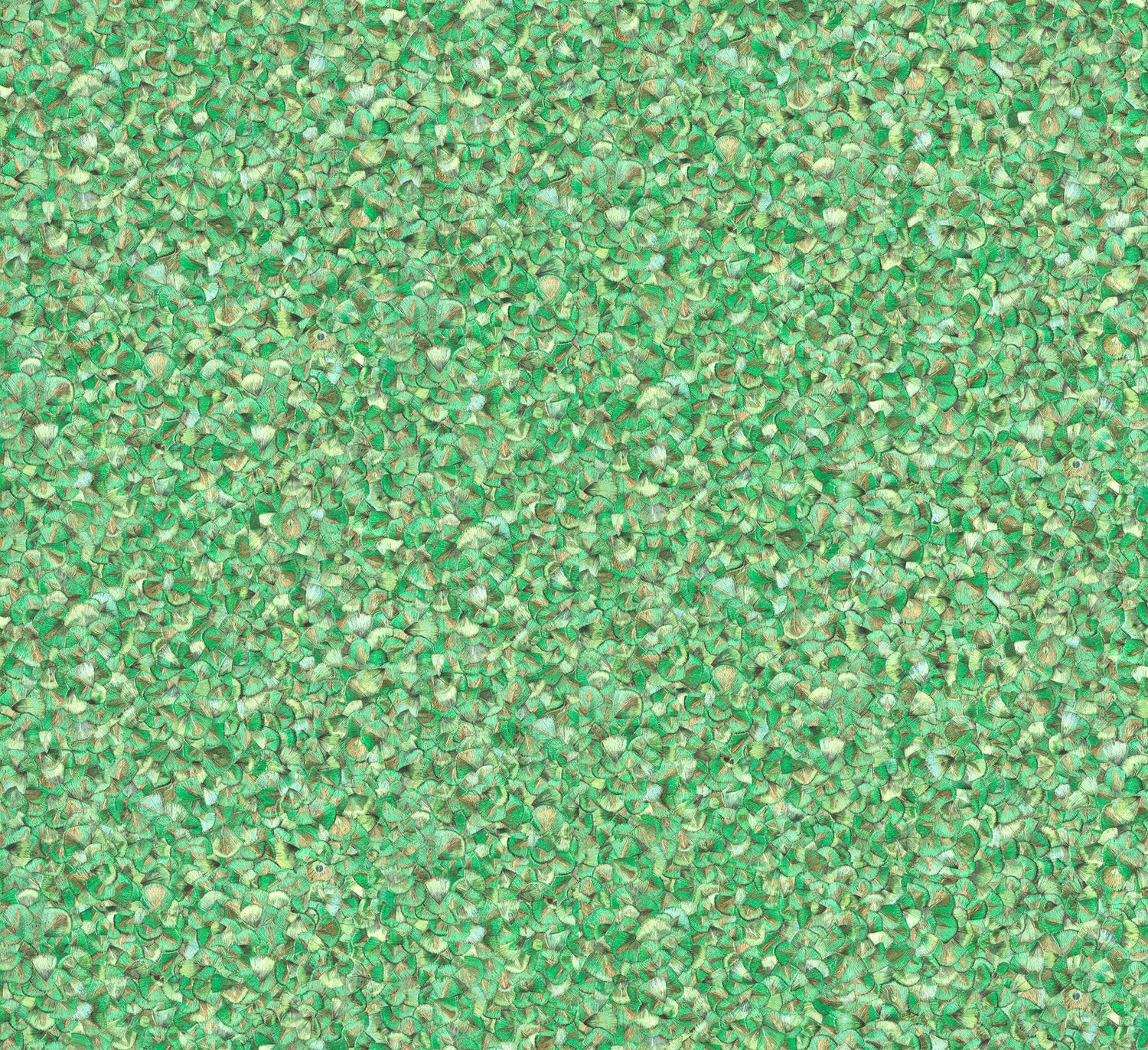 Feathers wallpaper in green color - pattern number EN91953 - by Galerie in the Energy collection