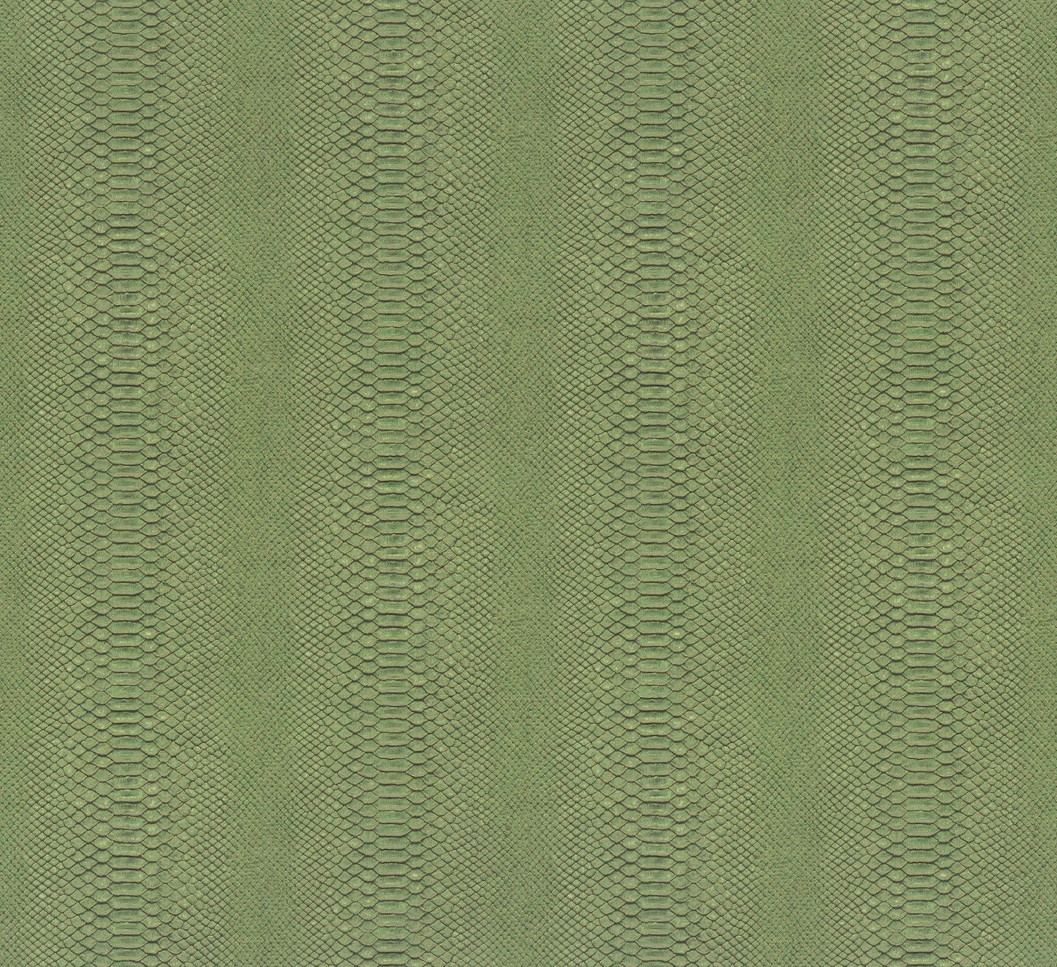 Snake Skin wallpaper in green color - pattern number EN91981 - by Galerie in the Energy collection
